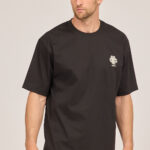 LION T0193MER