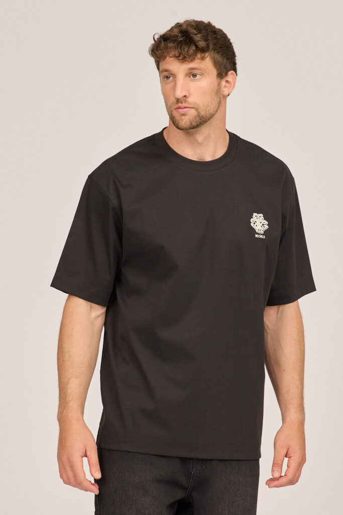 LION T0193MER