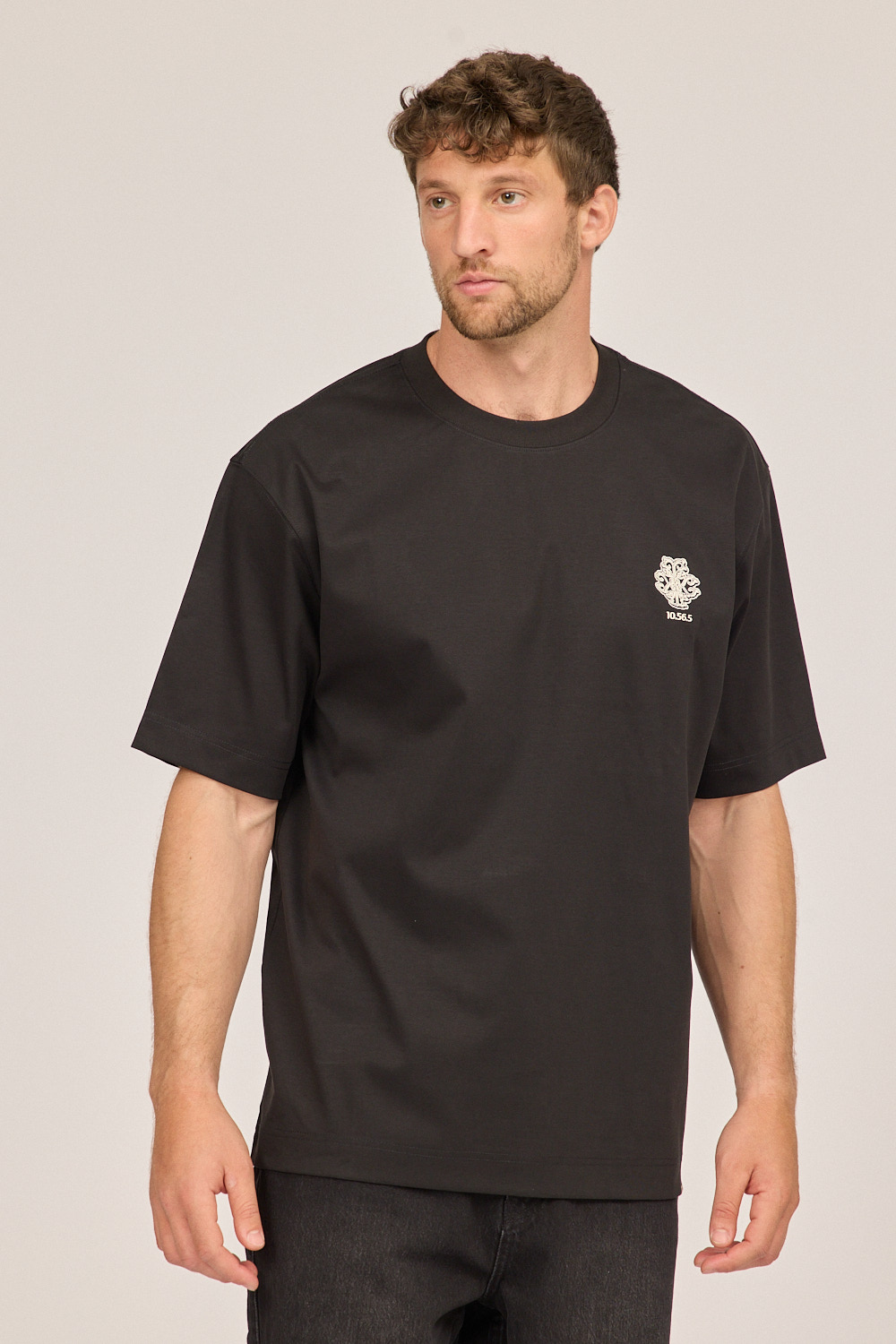 LION T0193MER